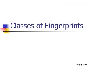 Classes of Fingerprints bsapp com ArchesNo Deltas or