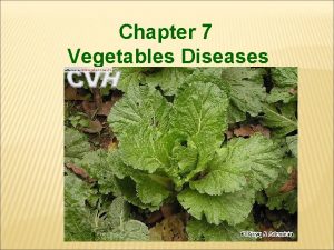 Chapter 7 Vegetables Diseases 7 1 Crucifers vegetable