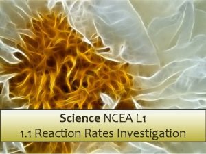 Science NCEA L 1 1 1 Reaction Rates