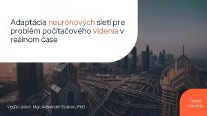 Adaptcia neurnovch siet pre problm potaovho videnia v