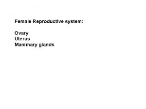 Female Reproductive system Ovary Uterus Mammary glands Ovary