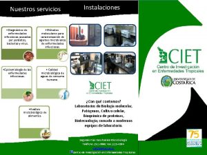 Nuestros servicios Diagnstico de enfermedades infecciosas causadas por