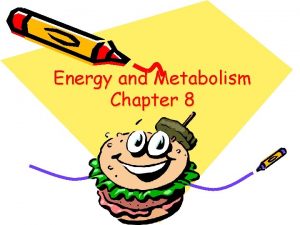 Energy and Metabolism Chapter 8 Energy Energy Energy