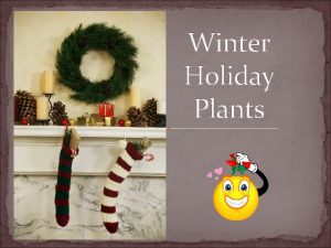 Winter Holiday Plants Do Now Winter Plants When