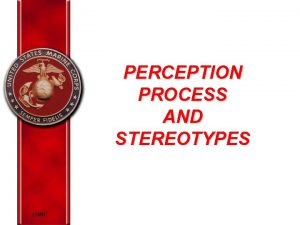 PERCEPTION PROCESS AND STEREOTYPES EORC Overview Elements of
