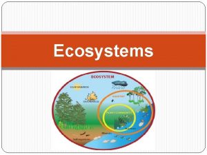 Ecosystems What is an Ecosystem Ecosystem A community