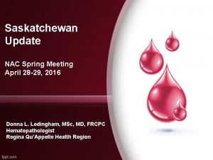 Saskatchewan Update NAC Spring Meeting April 28 29