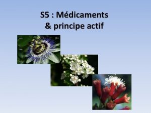 S 5 Mdicaments principe actif Principe actif aubpine