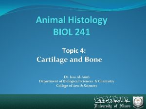 Animal Histology BIOL 241 Topic 4 Cartilage and