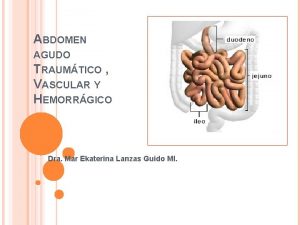 ABDOMEN AGUDO TRAUMTICO VASCULAR Y HEMORRGICO Dra Mar