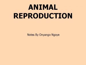 ANIMAL REPRODUCTION Notes By Onyango Ngoye Introduction Reproduction