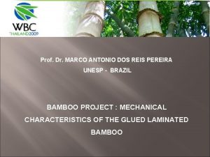 Prof Dr MARCO ANTONIO DOS REIS PEREIRA UNESP