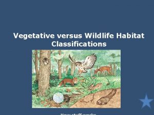 Vegetative versus Wildlife Habitat Classifications Vegetative Classifications Vegetation
