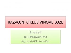 RAZVOJNI CIKLUS VINOVE LOZE 3 razred BILIONOGOJSTVO Agroturistiki