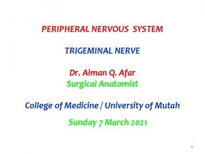 PERIPHERAL NERVOUS SYSTEM TRIGEMINAL NERVE Dr Aiman Q