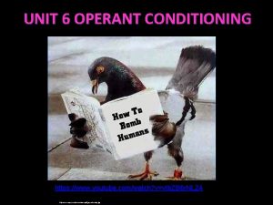 UNIT 6 OPERANT CONDITIONING https www youtube comwatch