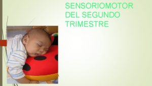 SENSORIOMOTOR DEL SEGUNDO TRIMESTRE CA Cmo razonamos Para