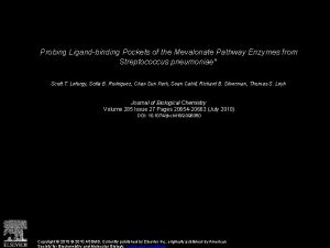 Probing Ligandbinding Pockets of the Mevalonate Pathway Enzymes