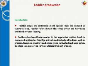 Fodder production Introduction Fodder crops are cultivated plant