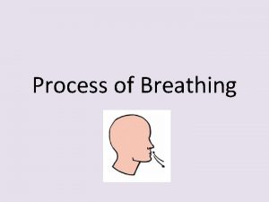 Process of Breathing 50 Pulmonary ventilation Breathing Involves