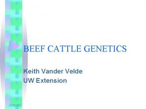 BEEF CATTLE GENETICS Keith Vander Velde UW Extension