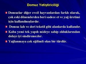 Domuz Yetitiricilii Domuzlar dier evcil hayvanlardan farkl olarak