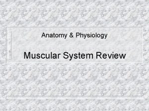 Anatomy Physiology Muscular System Review Did you know