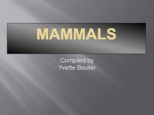 MAMMALS Compiled by Yvette Boulier Peters GhostFaced Bat