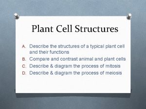 Plant Cell Structures A Describe the structures of
