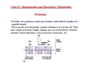 UnitIV Biomolecules and Secondary Metabolites Proteins Proteins are