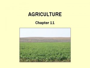 AGRICULTURE Chapter 11 What Is Agriculture and Where
