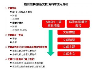 Labour Stages of the CEBIS Model Clinical Evidence