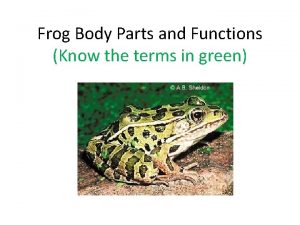 Frog Body Parts and Functions Know the terms