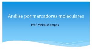 Anlise por marcadores moleculares Prof Vinicius Campos Gentica