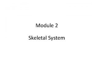 Module 2 Skeletal System Compact Bone Cancellous Bone