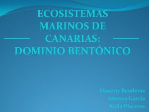 ECOSISTEMAS MARINOS DE CANARIAS DOMINIO BENTNICO Daunny Banderas