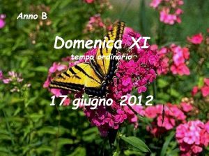 Anno B Domenica XI tempo ordinario 17 giugno