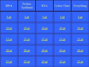 DNA Protein Synthesis RNA Codon Chart Everything 5