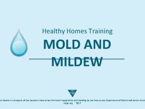 Healthy Homes Training MOLD AND MILDEW hy Homes