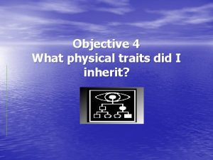 Objective 4 What physical traits did I inherit