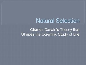 Natural Selection Charles Darwins Theory that Shapes the