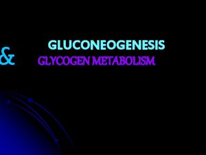 GLUCONEOGENESIS GLYCOGEN METABOLISM GLUCONEOGENESIS synthesis of glucose from