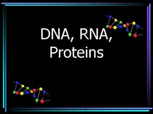 DNA RNA Proteins II DNA Structure A Nucleic