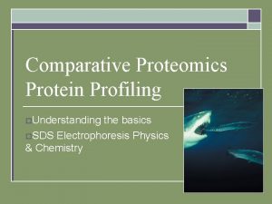 Comparative Proteomics Protein Profiling o Understanding the basics