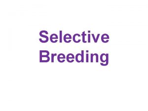 Selective Breeding Selective Breeding Humans have used patterns