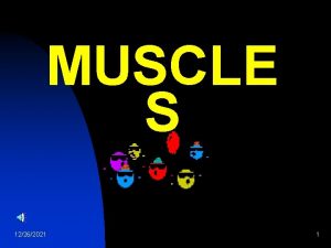 MUSCLE S 12262021 1 The human body 12262021