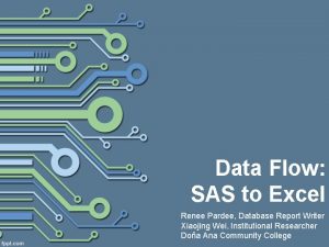 Data Flow SAS to Excel Renee Pardee Database