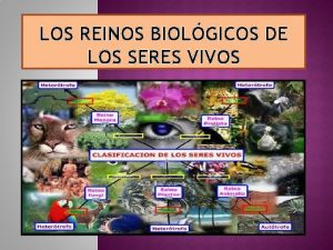 LOS REINOS BIOLGICOS DE LOS SERES VIVOS LOS