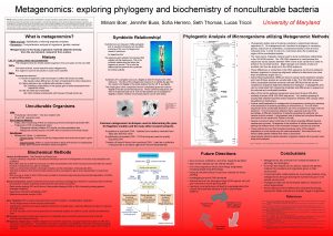 Metagenomics exploring phylogeny and biochemistry of nonculturable bacteria