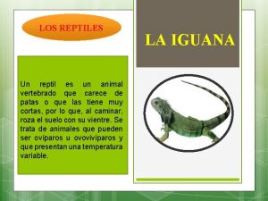 LOS REPTILES Un reptil es un animal vertebrado